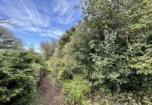 Photo 31- click for photo gallery